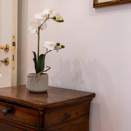 Apartment Elegantis Solinda - Easily Get To The Historic Center, Metro, Tram And Bus Are Nearby *