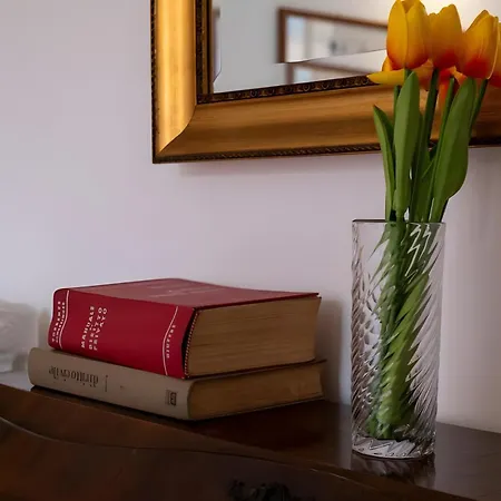 Elegantis Solinda With Private Terrace - Steps From Metro, Tram & Bus To Rome's Historic Center 公寓 *